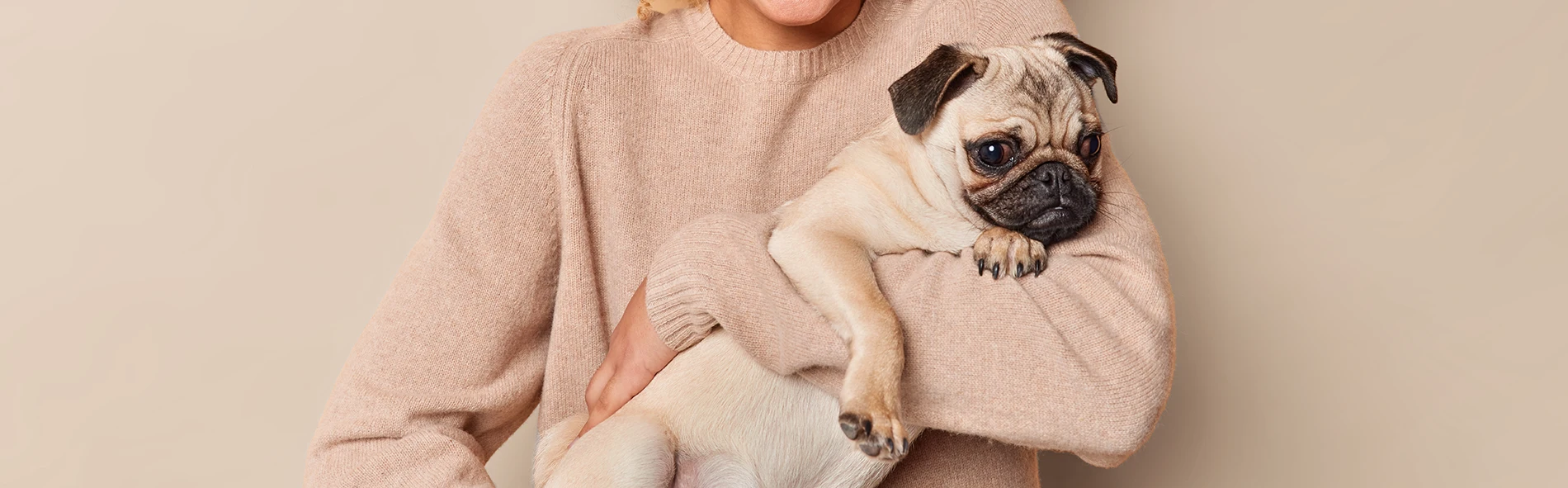 Fröhliche, hübsche Frau mit lockigem Haar, die einen Mops trägt, hat Spaß mit ihrem Lieblingshaustier.